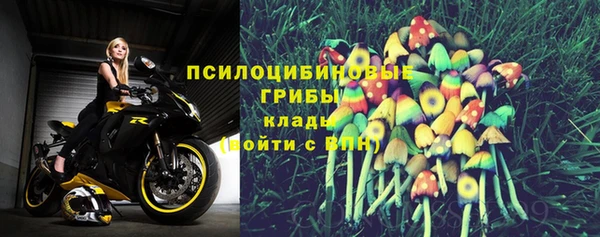 синтетический гашиш Алексеевка